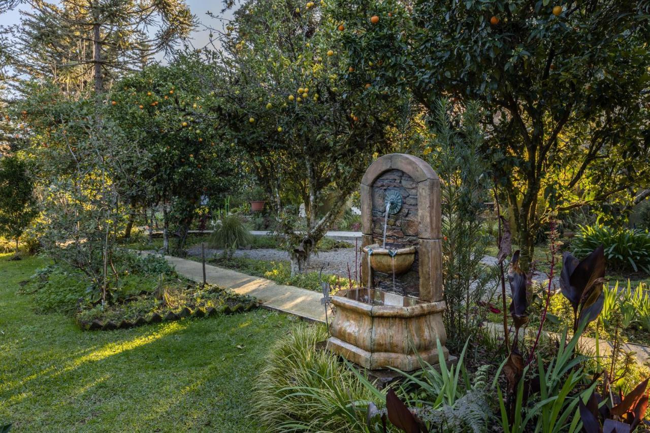 Jardim Secreto Pensão